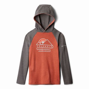 Columbia Camisas Trulli Trails™ Waffle Hoodie Niño Marrom/Grises Oscuro (067QGFXUH)